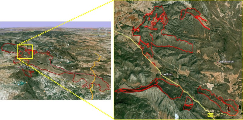 rea de actuacin del proyecto