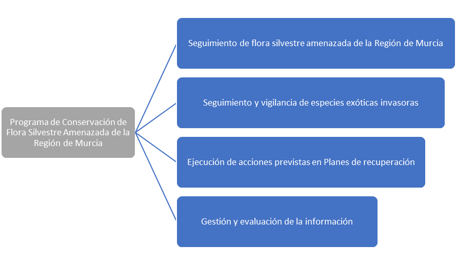Programa de conservación de flora silvestre amenazada